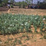 *“ऑपरेशन आघात” के दो माह पूर्ण — मादक पदार्थों पर रायगढ़ पुलिस की ऐतिहासिक कार्रवाई*