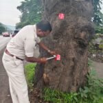 रात के सफर को सुरक्षित बनाने रायगढ़ पुलिस की नई पहल, पेड़ों पर लग रहे ट्री मार्कर रेडियम रिफ्लेक्टर