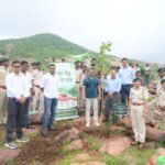 पथरीली पहाड़ियों को हराभरा बनाने रायगढ़ वन विभाग की अभिनव पहल