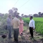 शत-प्रतिशत एवं त्रुटिरहित ई-गिरदावरी के लिए कलेक्टर ने दिए निर्देश