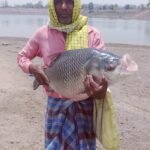 राबो जलाशय में मछली पालन से गंगामाई आदिवासी मछुआरों को मिला रोजगार का सहारा