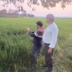 पटवारियों की हड़ताल के बीच जिला प्रशासन ने पूरा कराया धान के रकबे का सत्यापन, 98 प्रतिशत पॉलीगॉन जनरेशन का कार्य पूरा